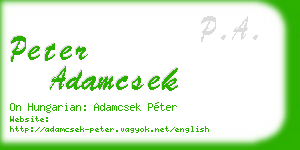 peter adamcsek business card